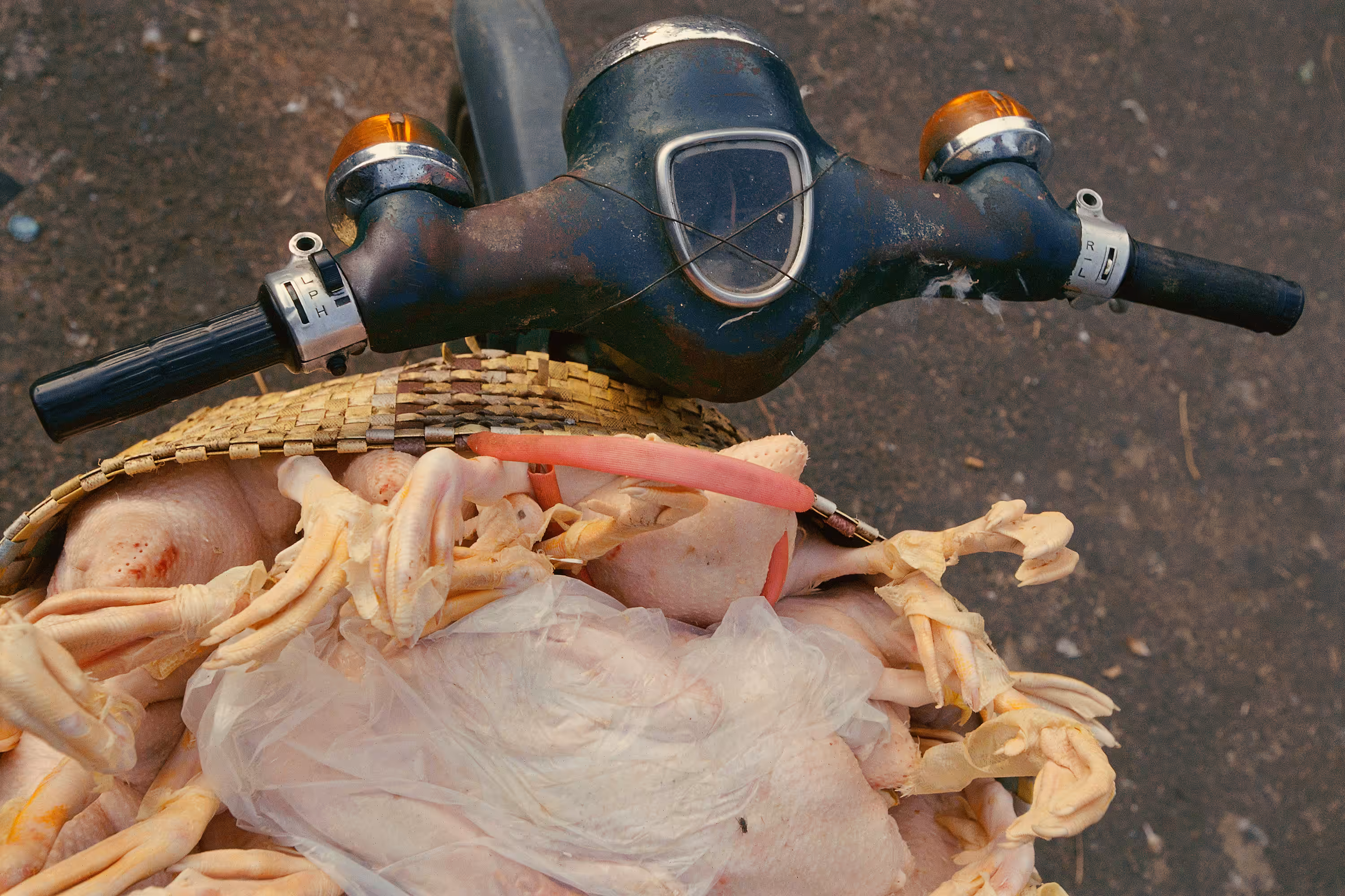Super Cub Chicken Feet