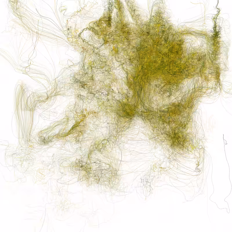 Hypericum #65