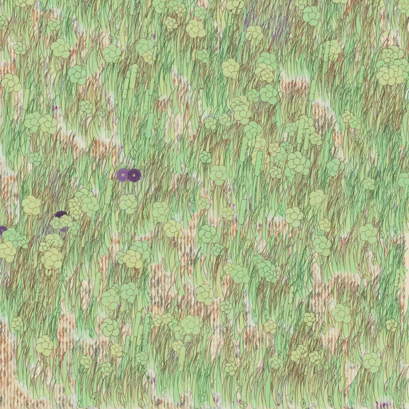 Petri 1500 #552