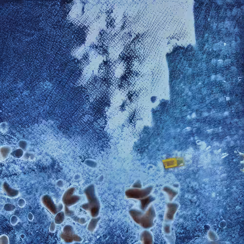 Molecular Atlas #49