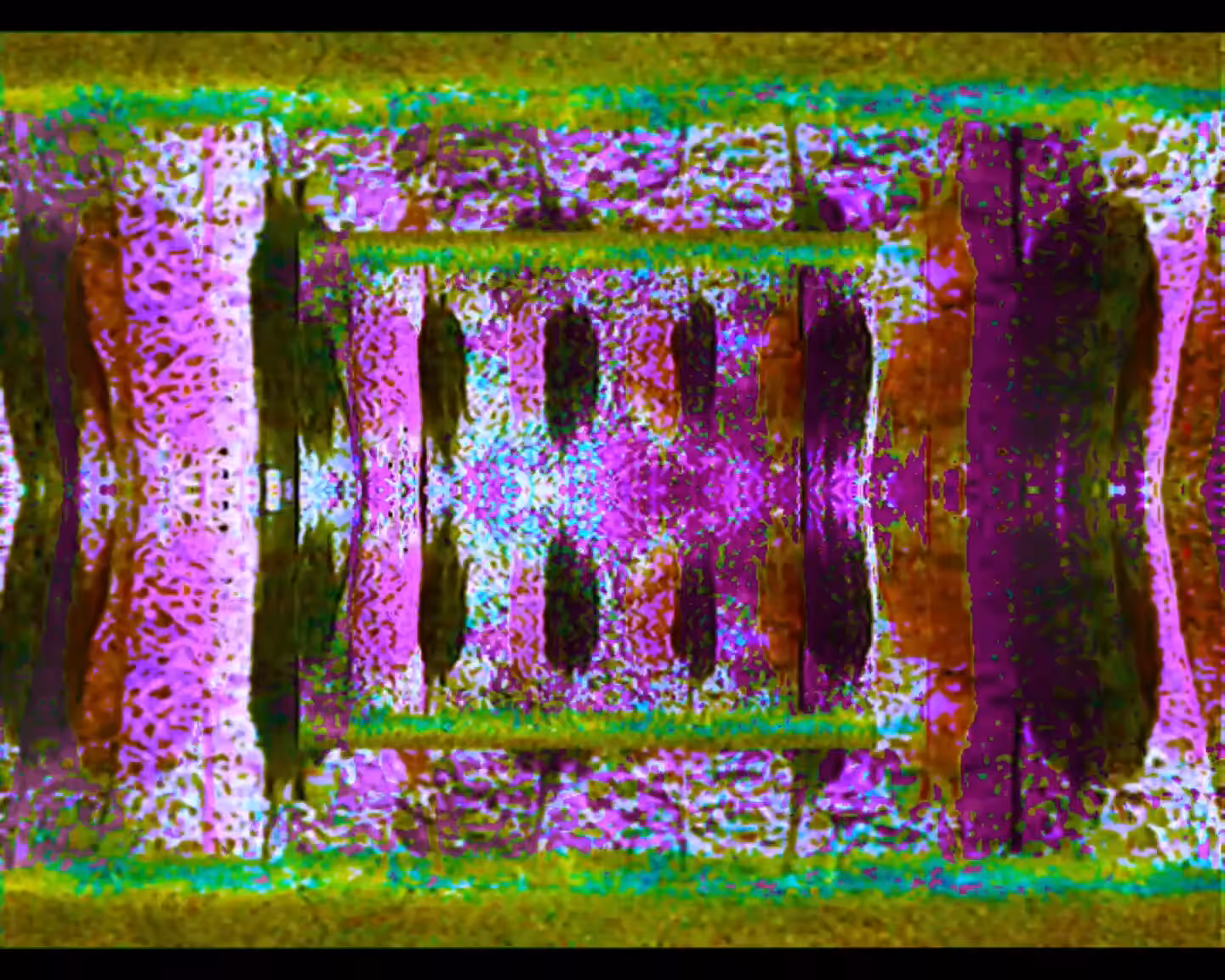 Fragment 03 / exoplanet X65#1 / The structure of the geological formations inside the cave