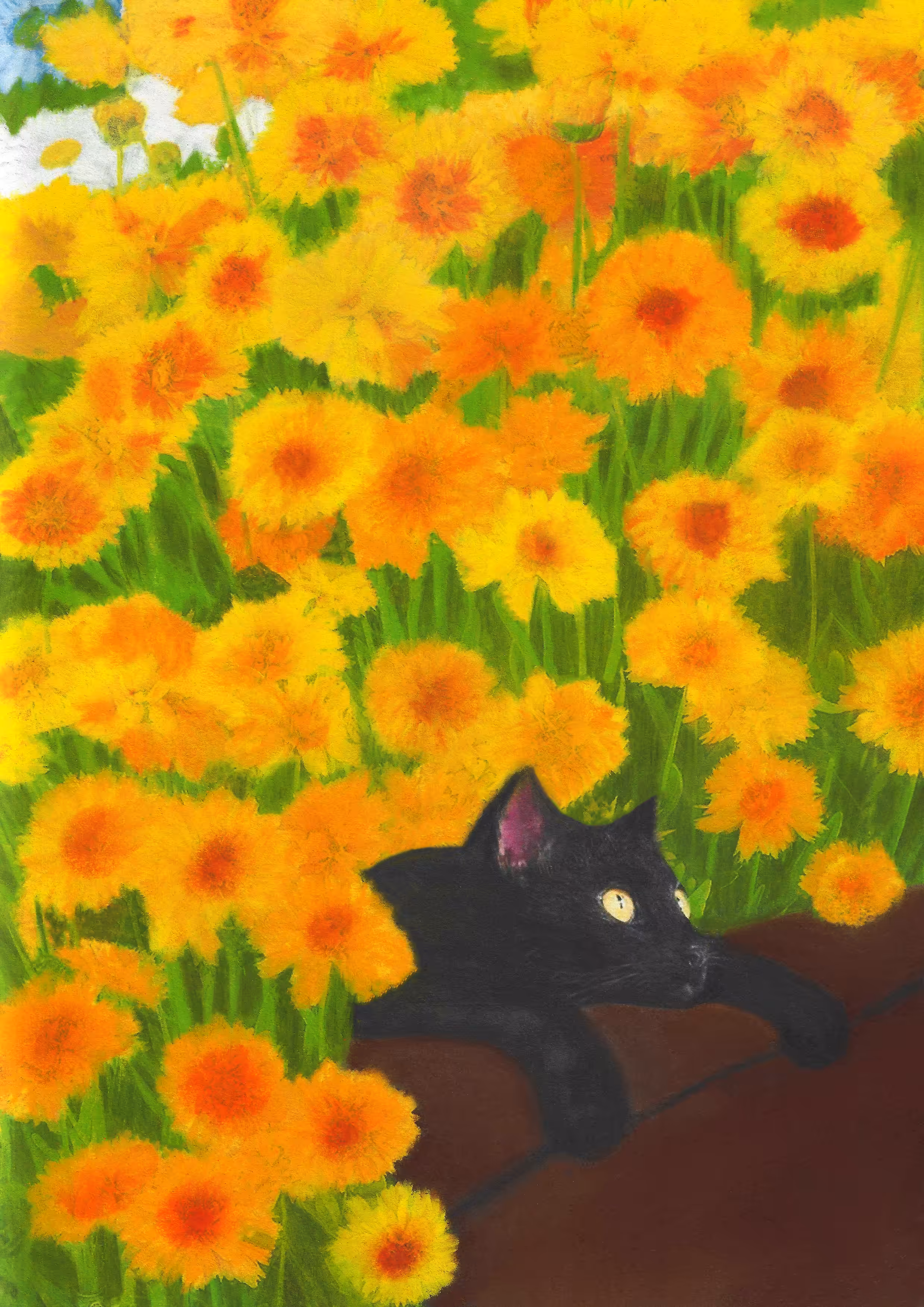 cats&another beautiful pets: Summer mood 