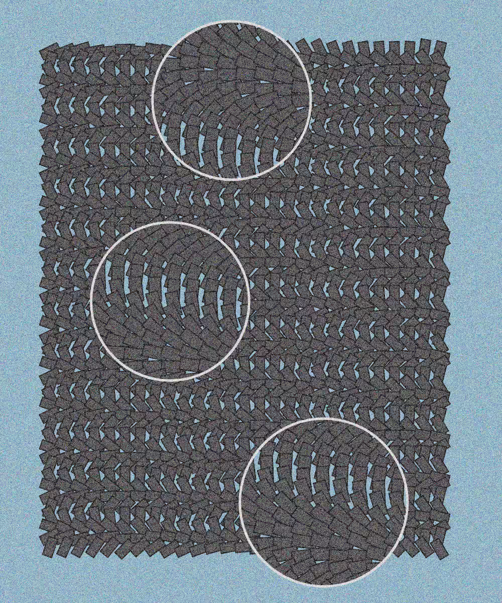 Plexus #2