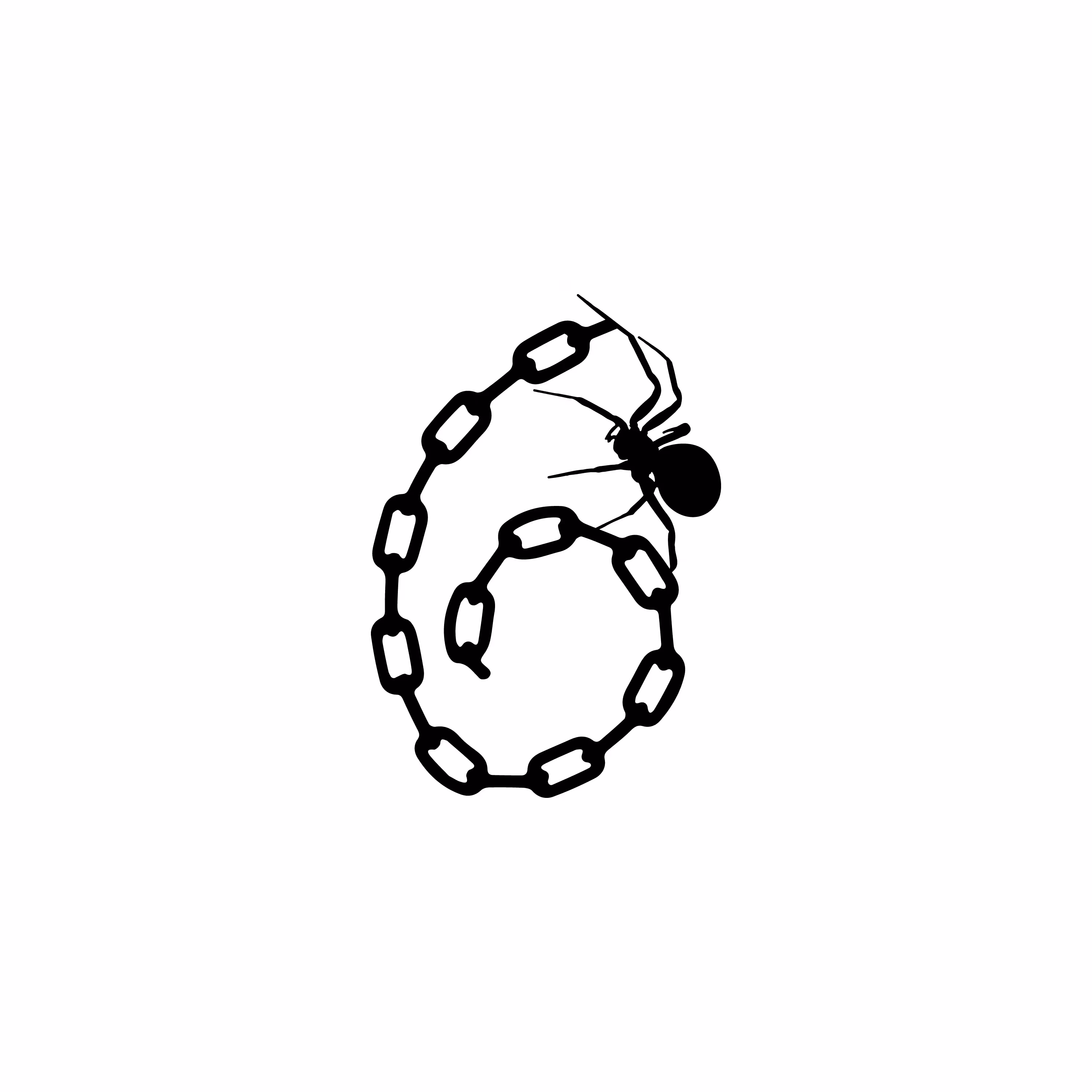 6 CENT SPIDER