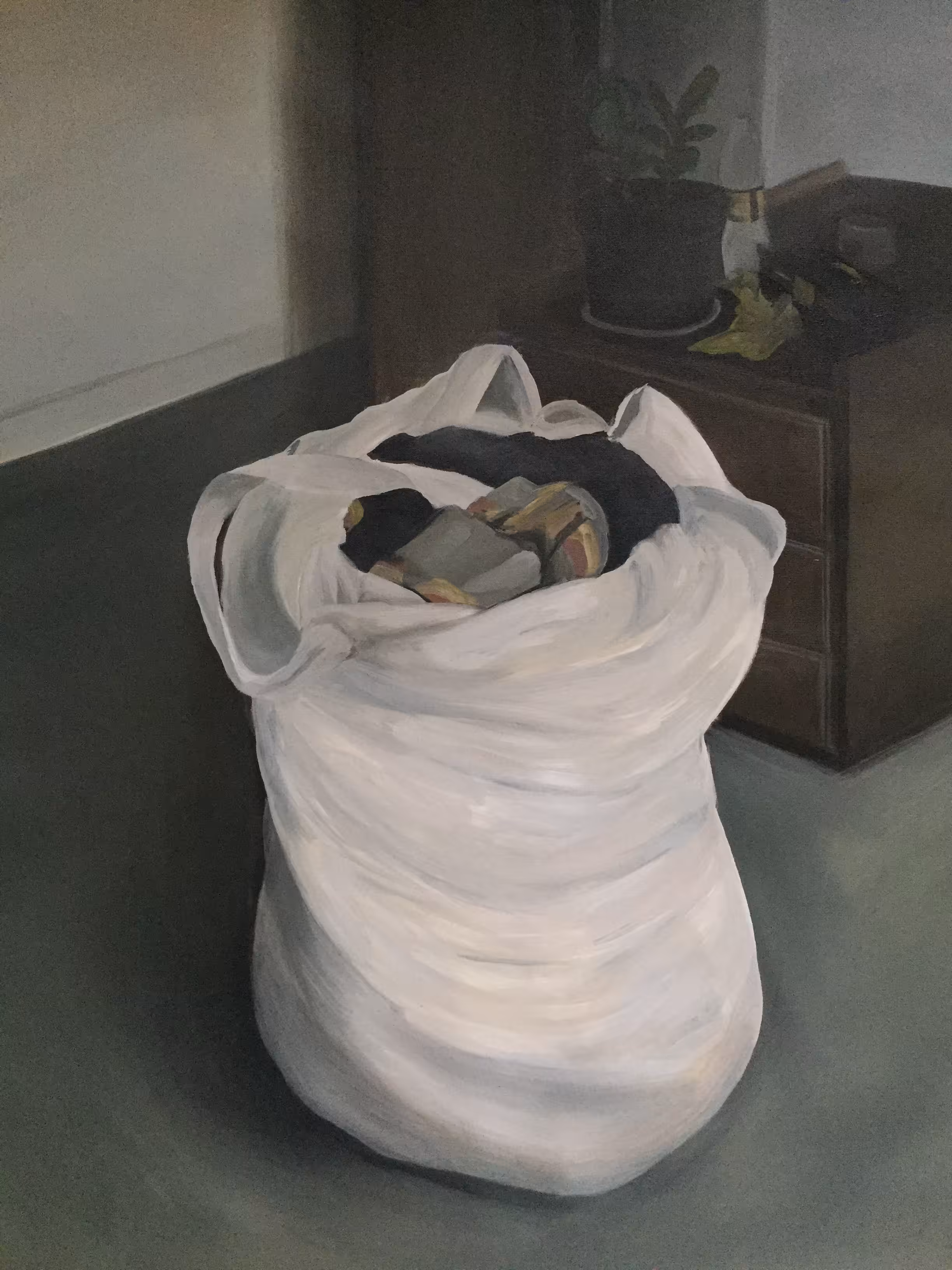 Bolsa de ropa
