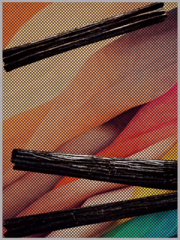 A Warm Autumn #4