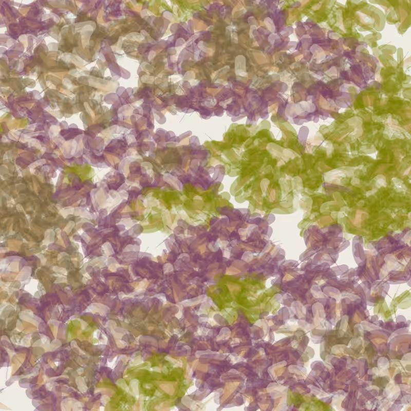 Petri 1500 v2 QHD  #587