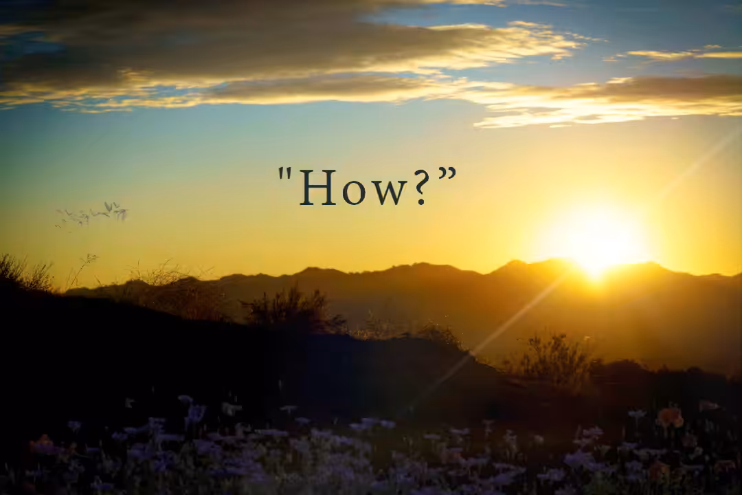 How?