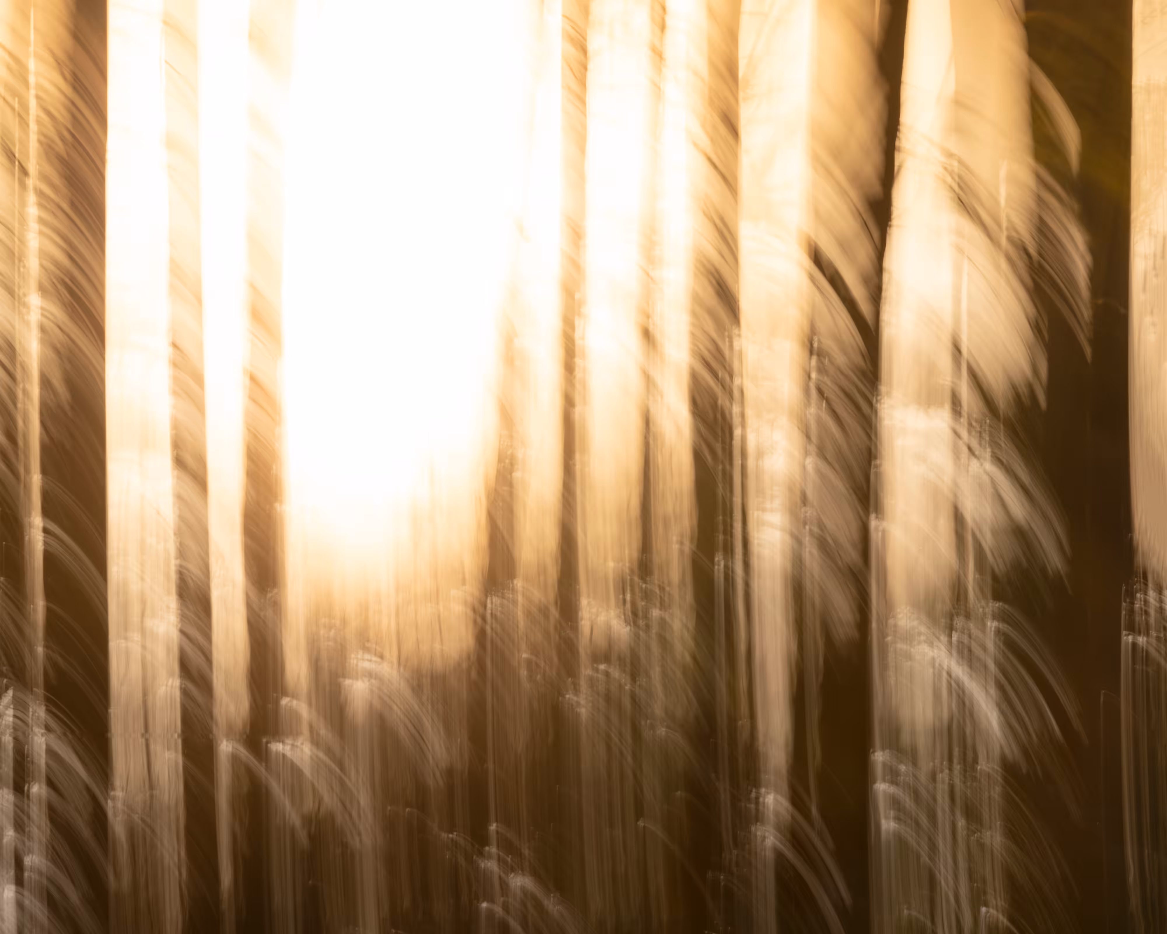 TJ Thorne: Blinding Bright