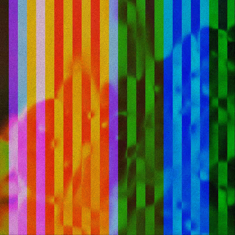 CLDCSMC #101