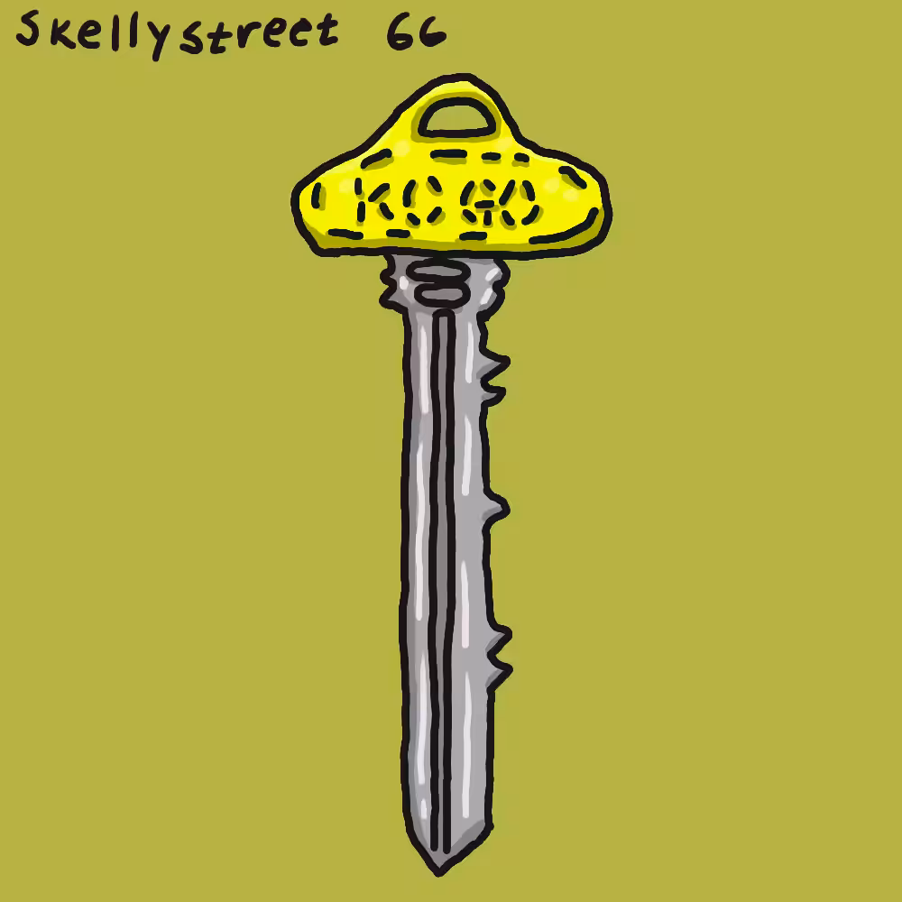 Skellystreet 66