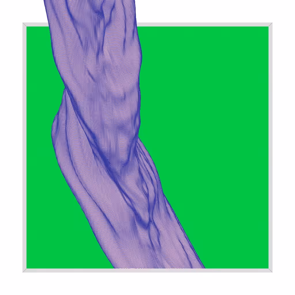 Framed Growth 080