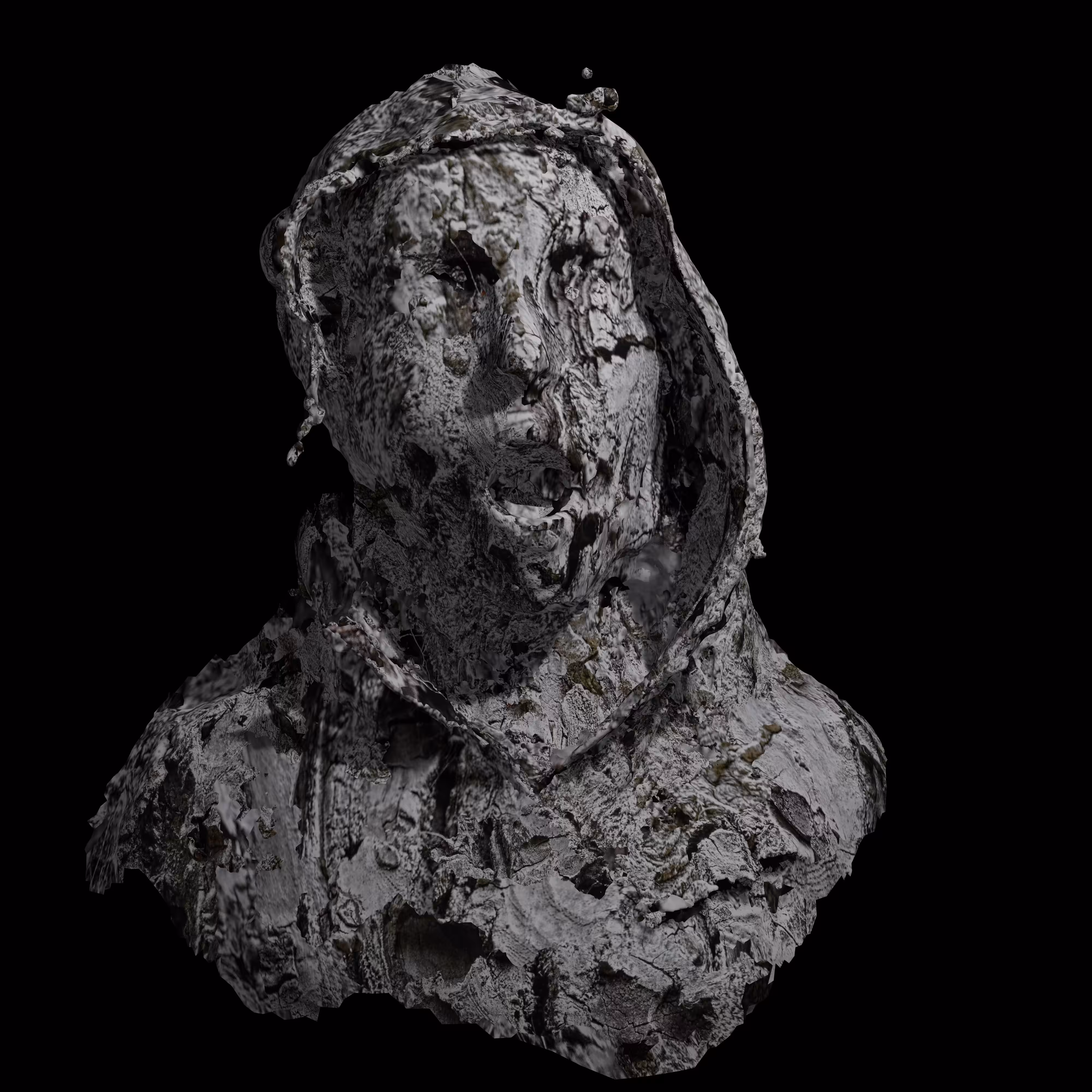 Zombie Decay #1 : Hoodie