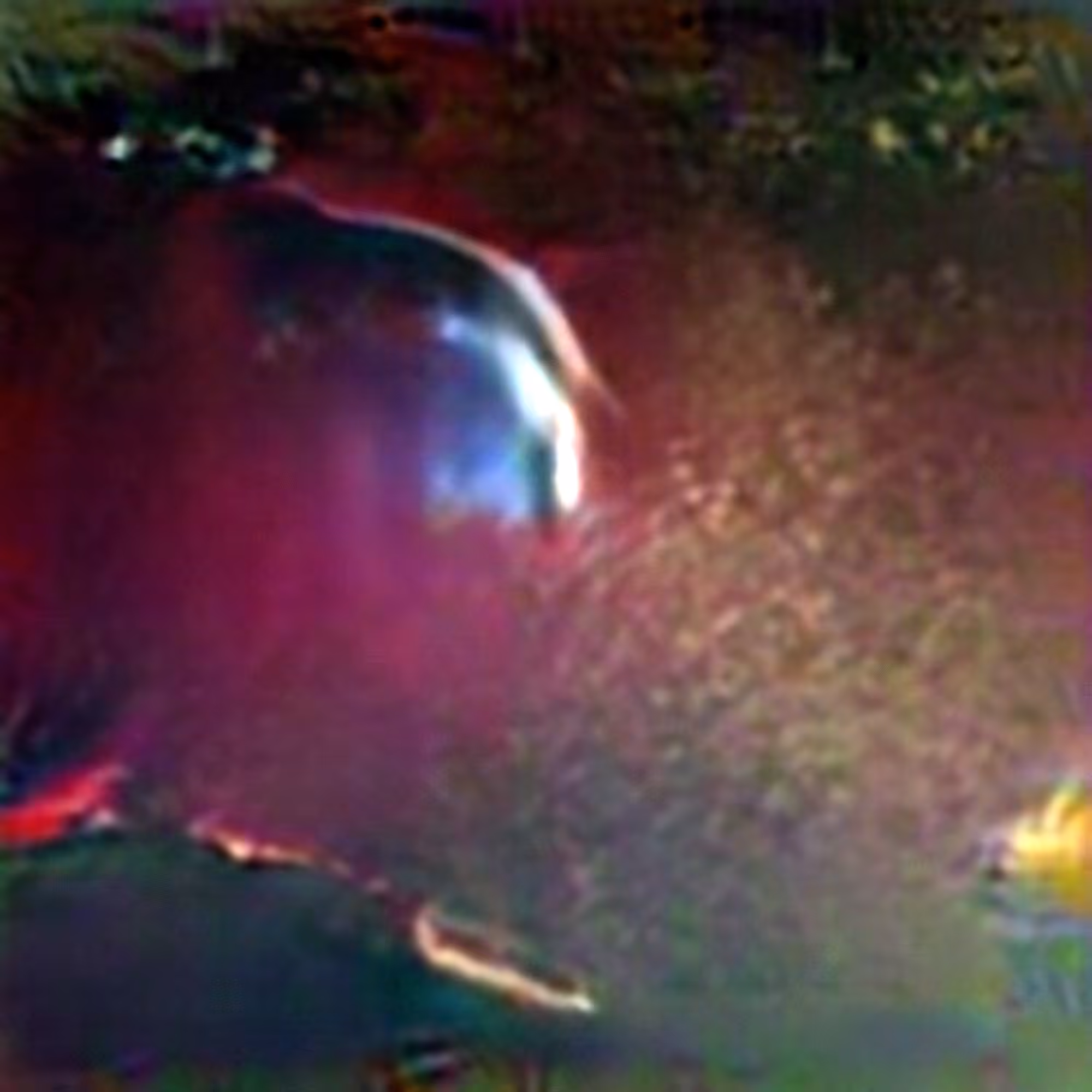 Comet #3 (Corpus: Omens and Portents)