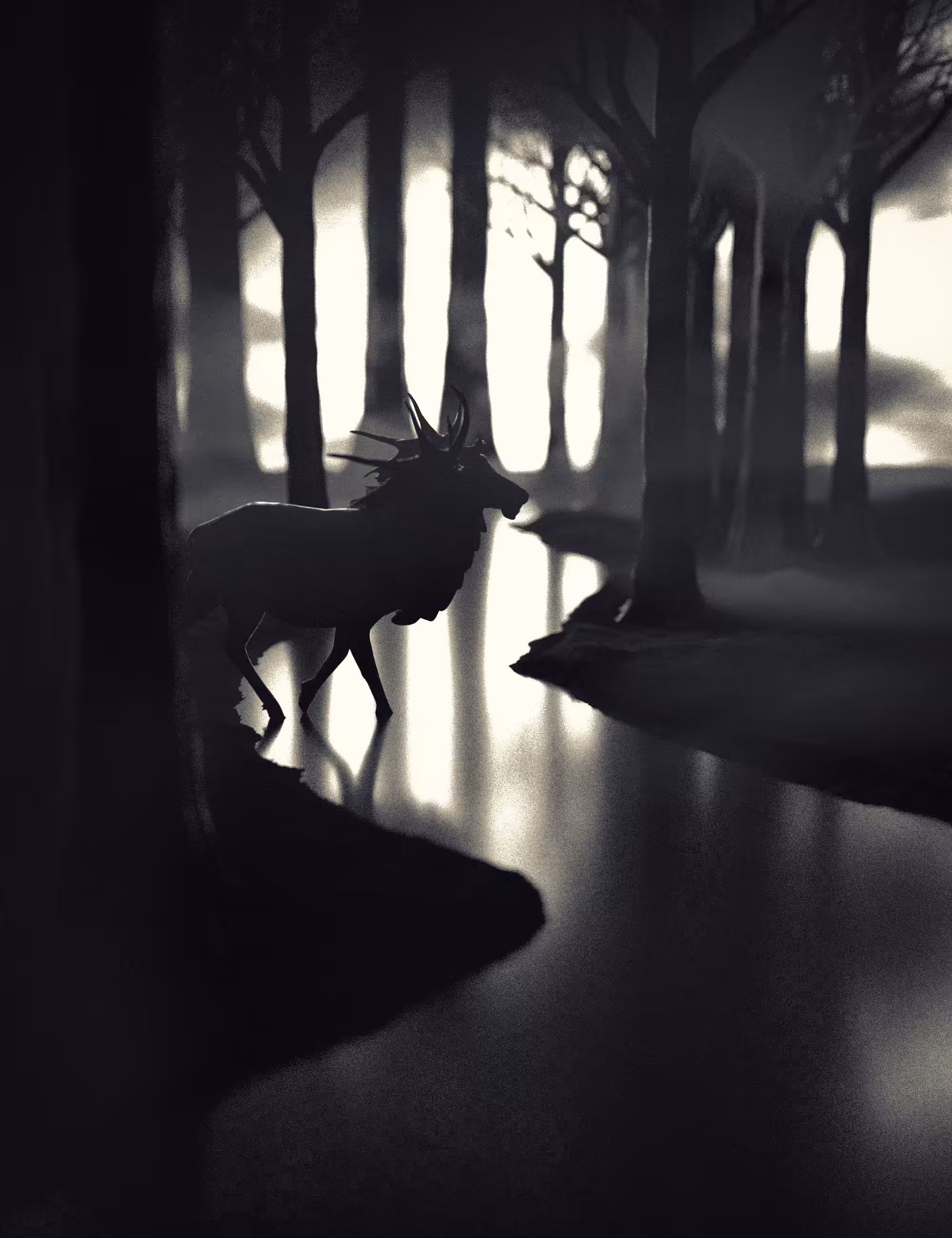 Reveries of a Solitary Walker