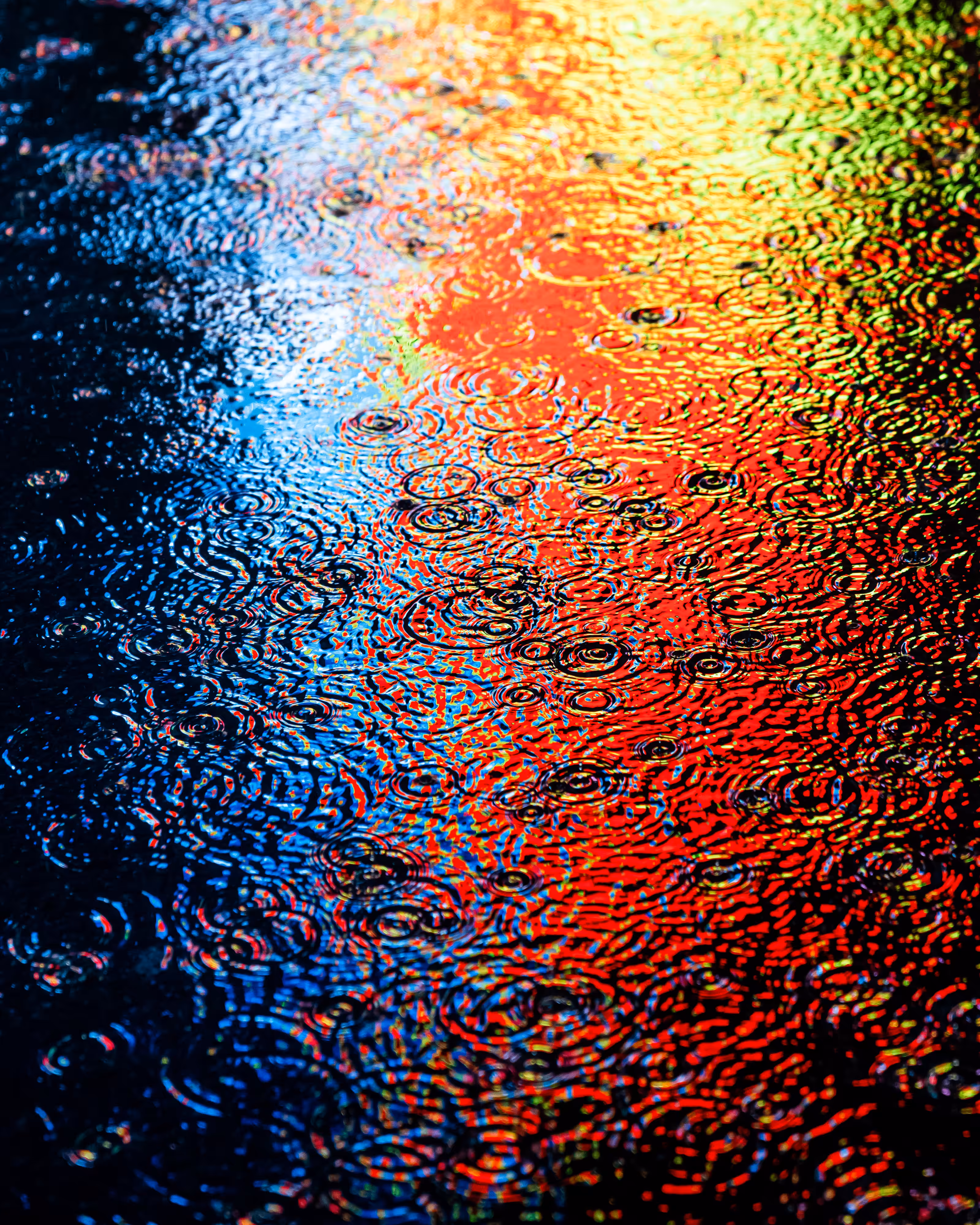 DRIP DROP: DRIP #519