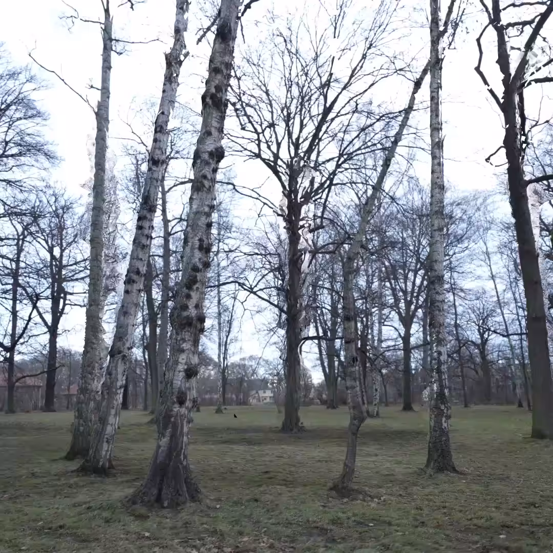 Fall