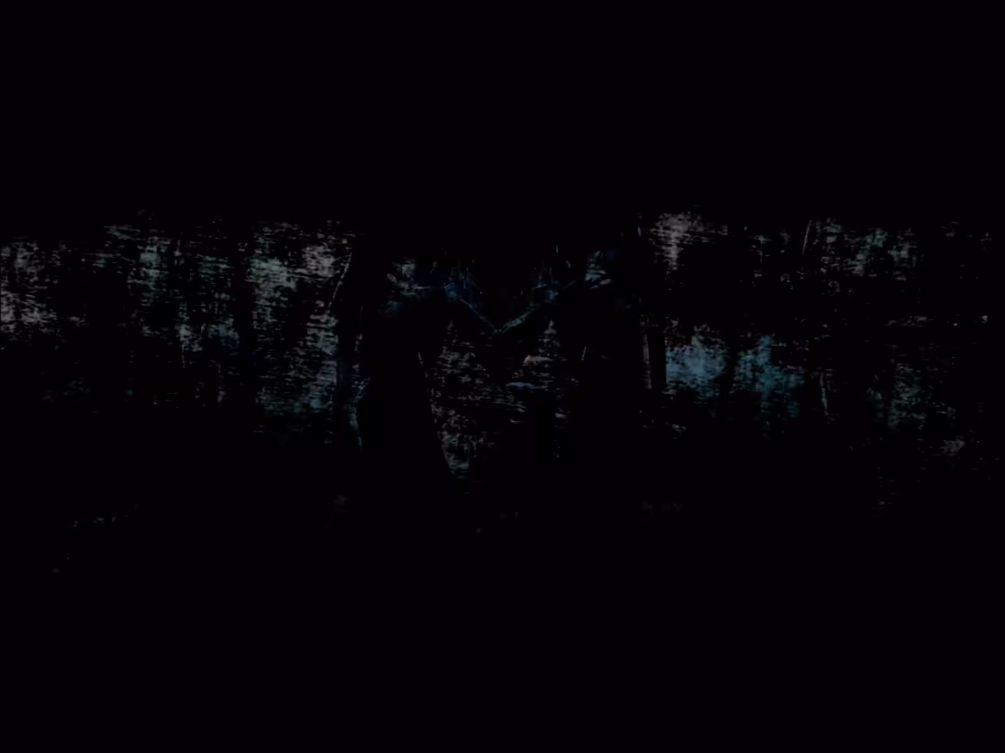 Something in the middle of the road, 3 AM