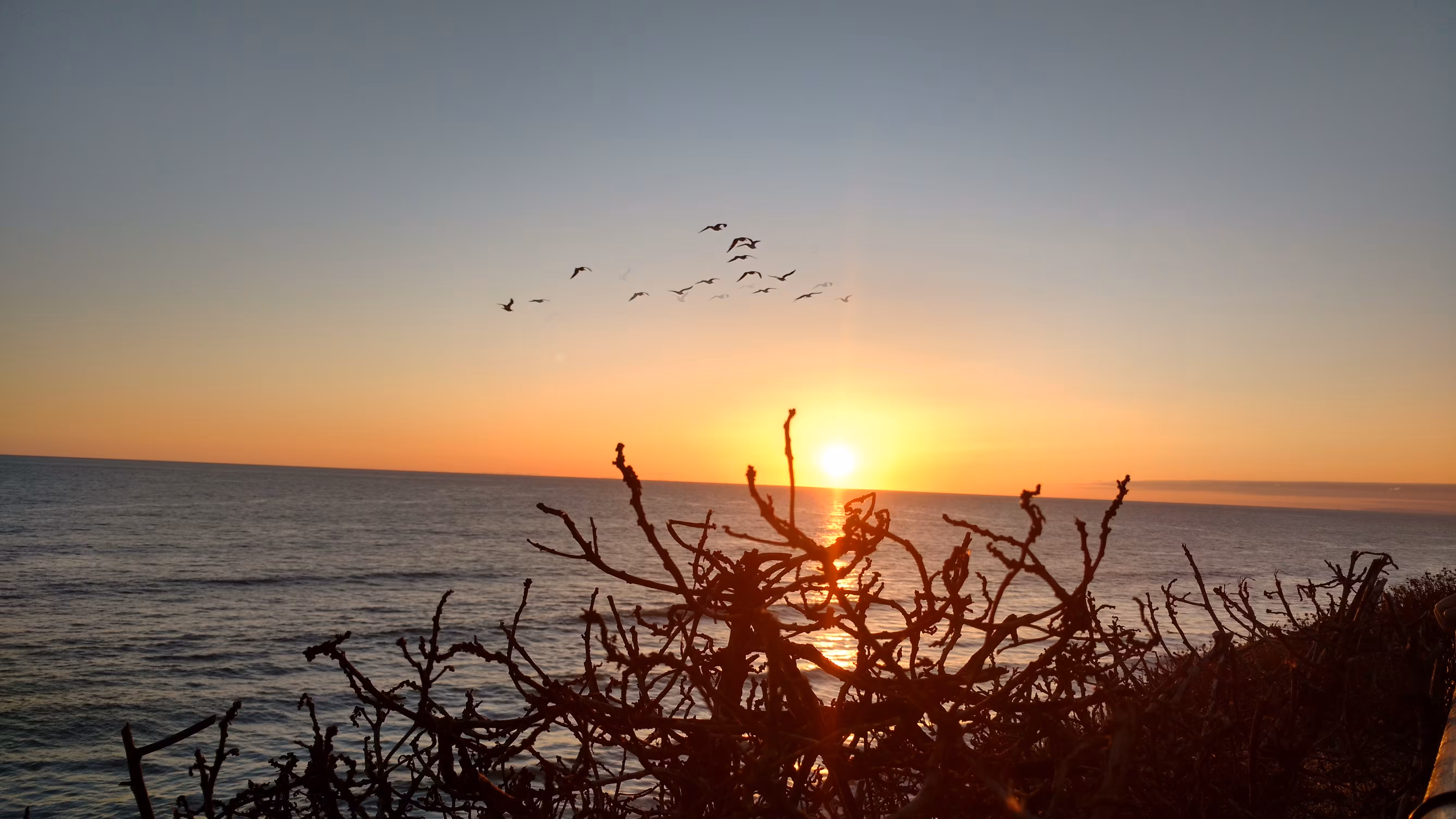 Beauty of Flight