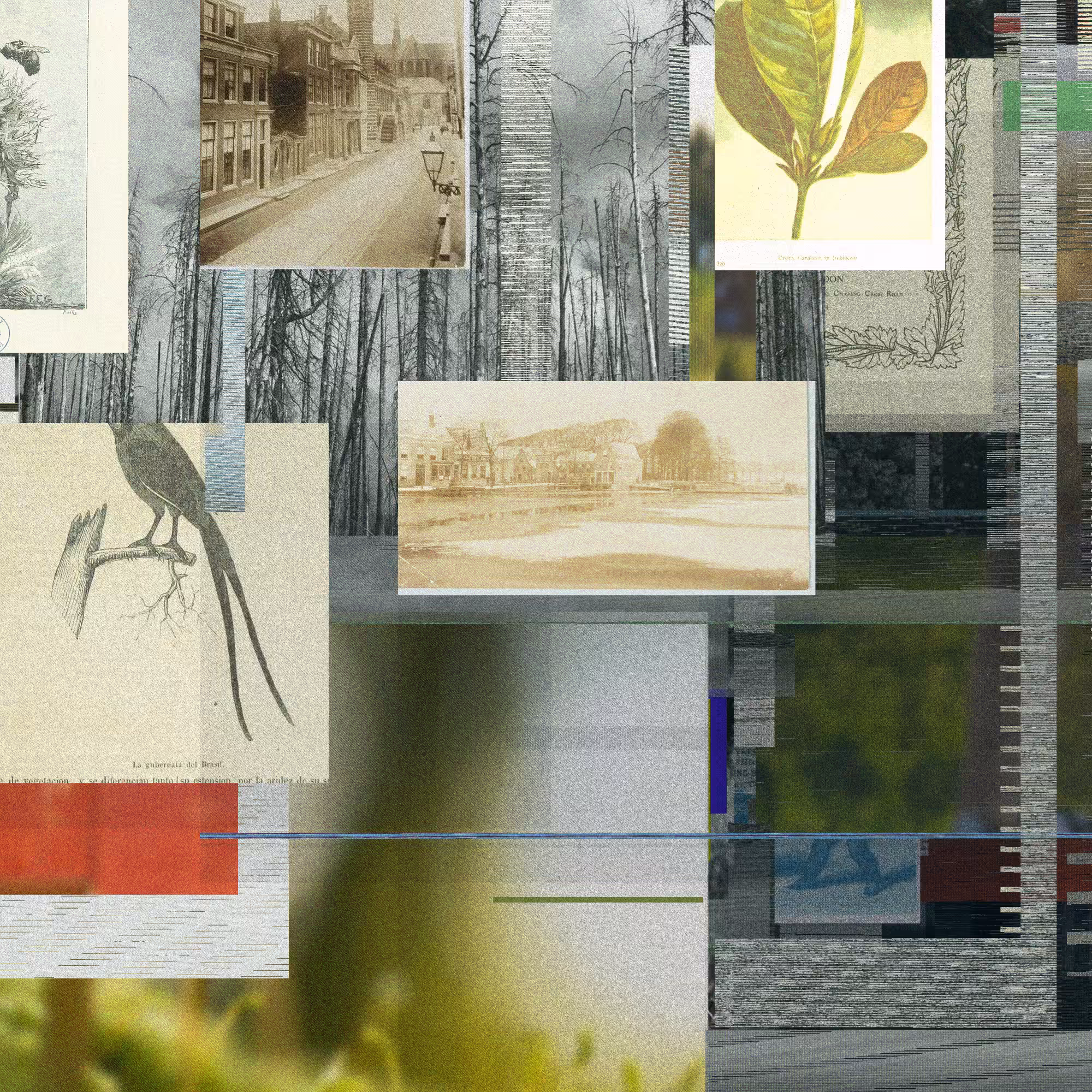 Unconscious Collages #303