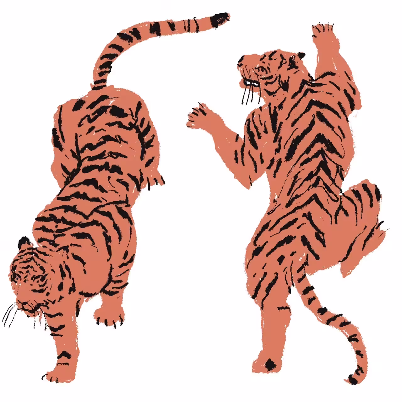 2 Tigers