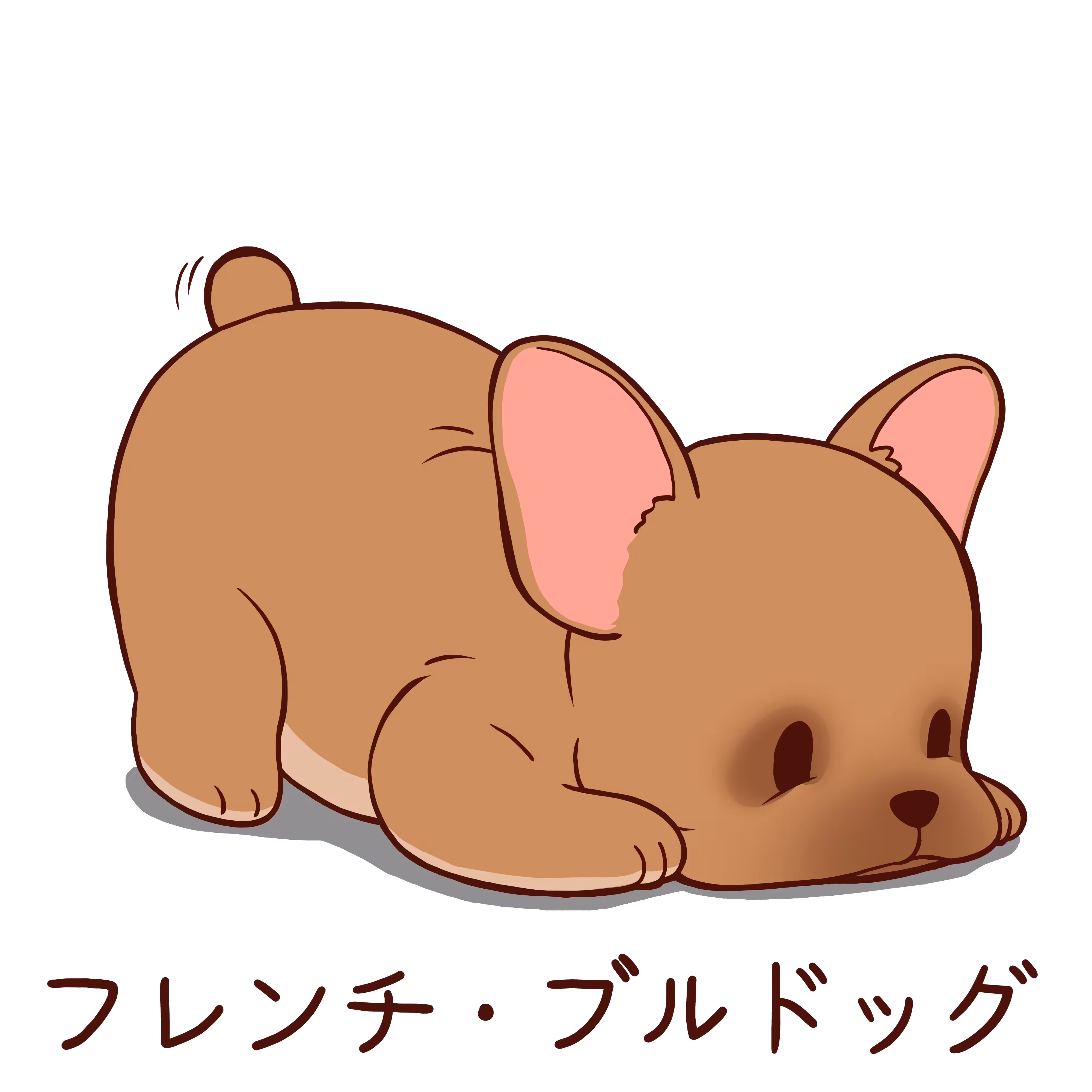 French bulldog