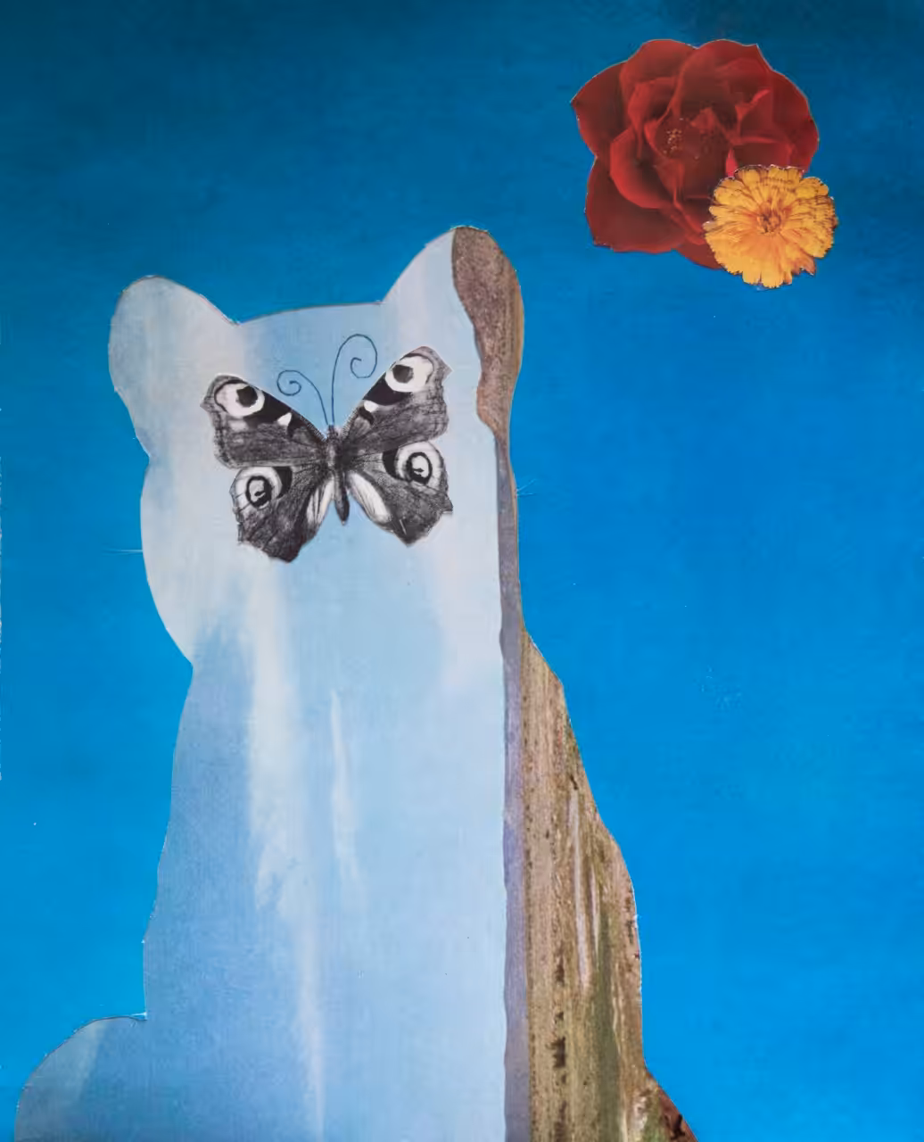 Ojos de mariposa