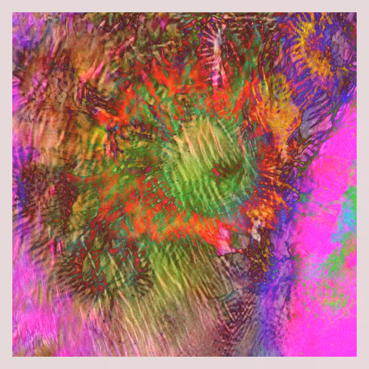 orGANics #26