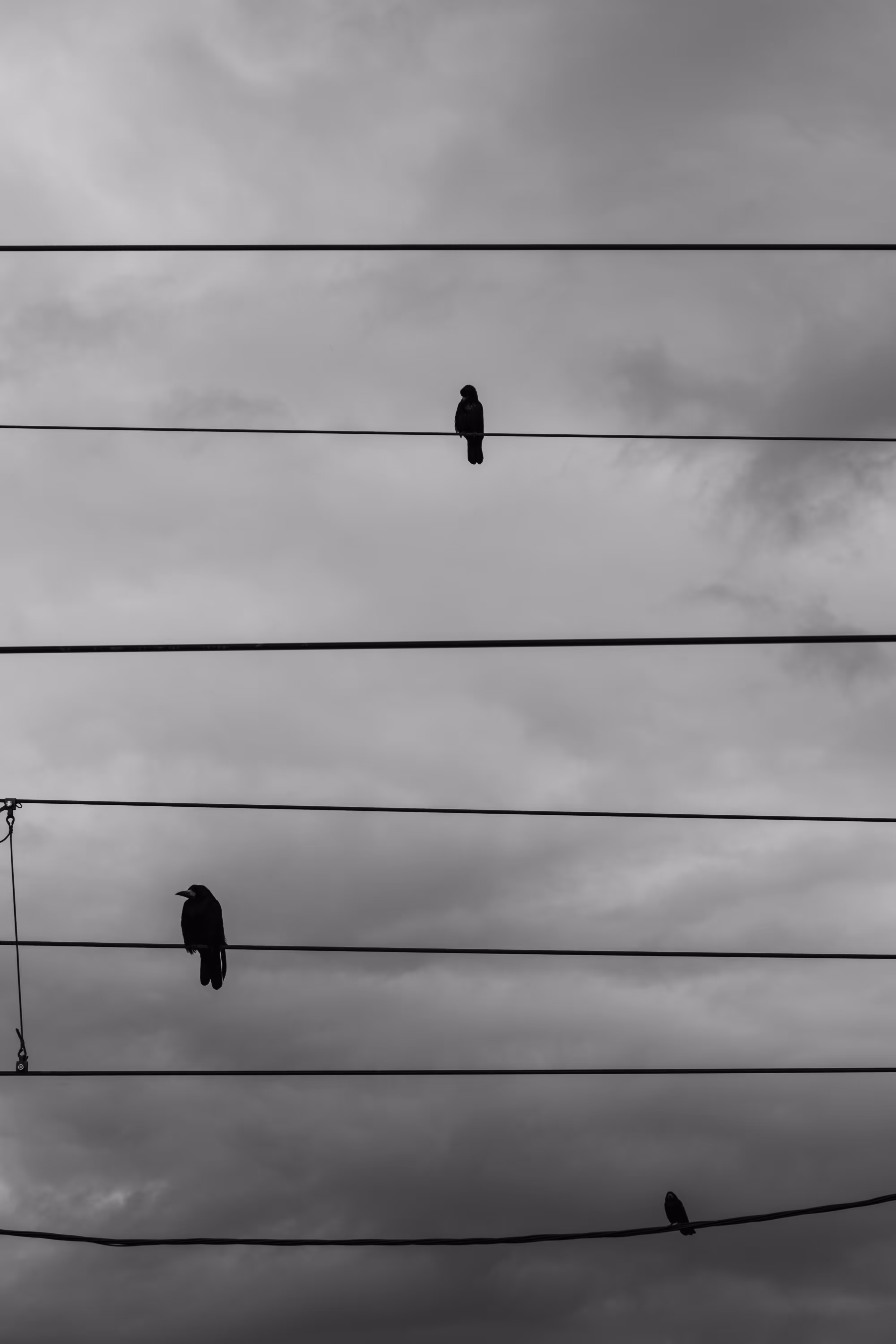 The Crowfather II