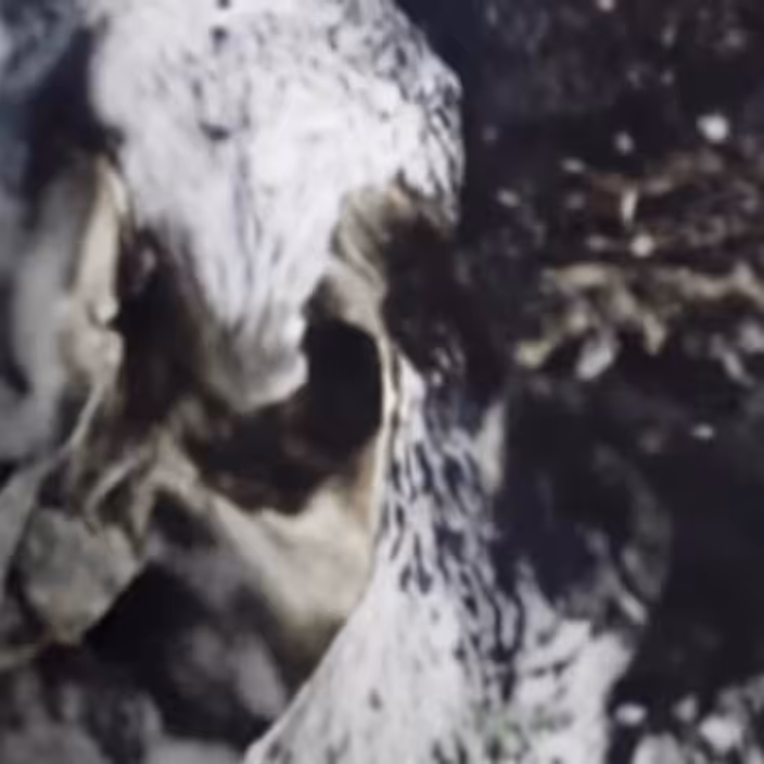 Death as a Child 7