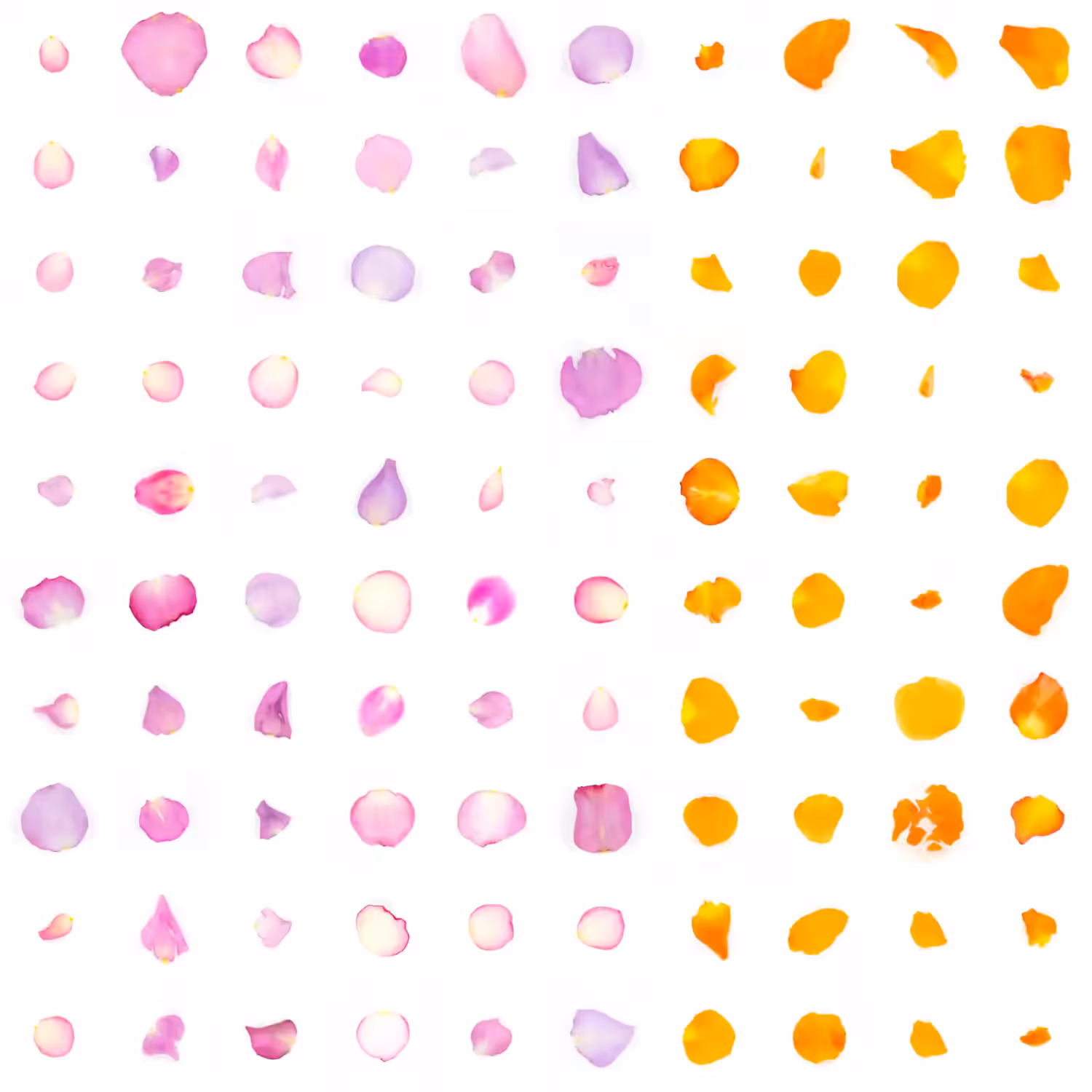 Infinite Petals 10x10#2641