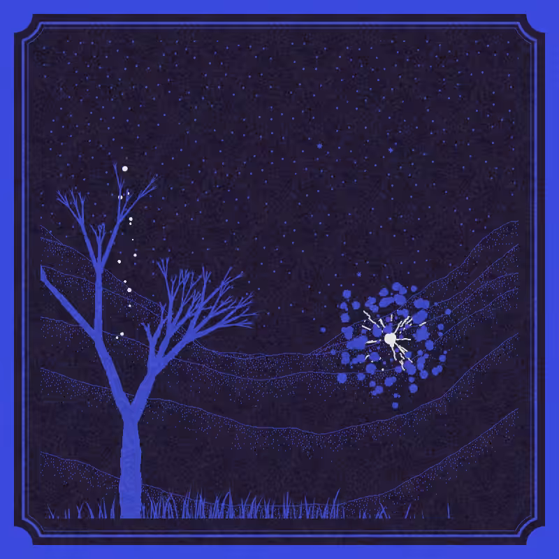 Fire Card #244