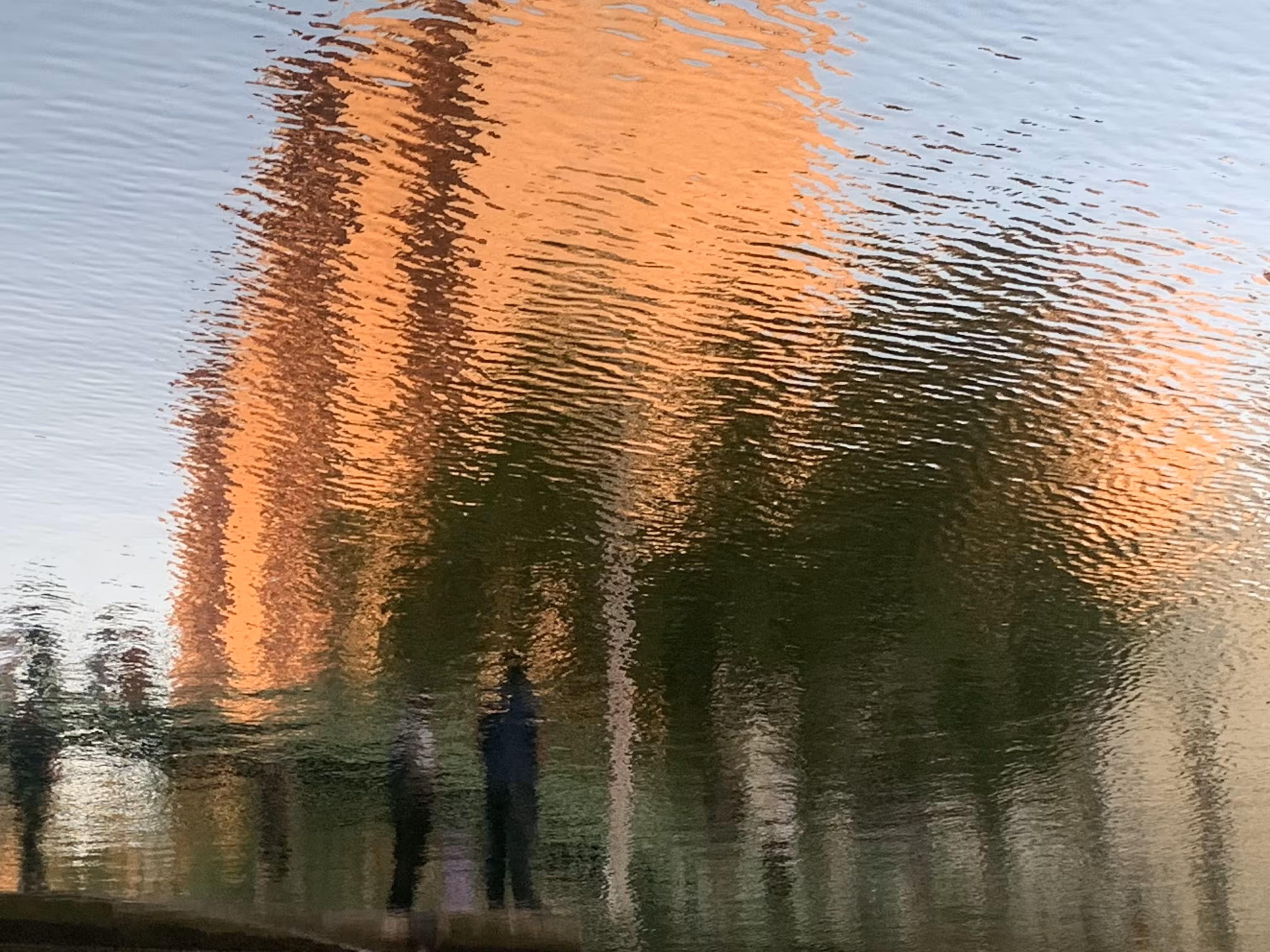 Whirling Wind
