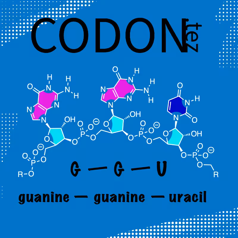 Codon Minter #19
