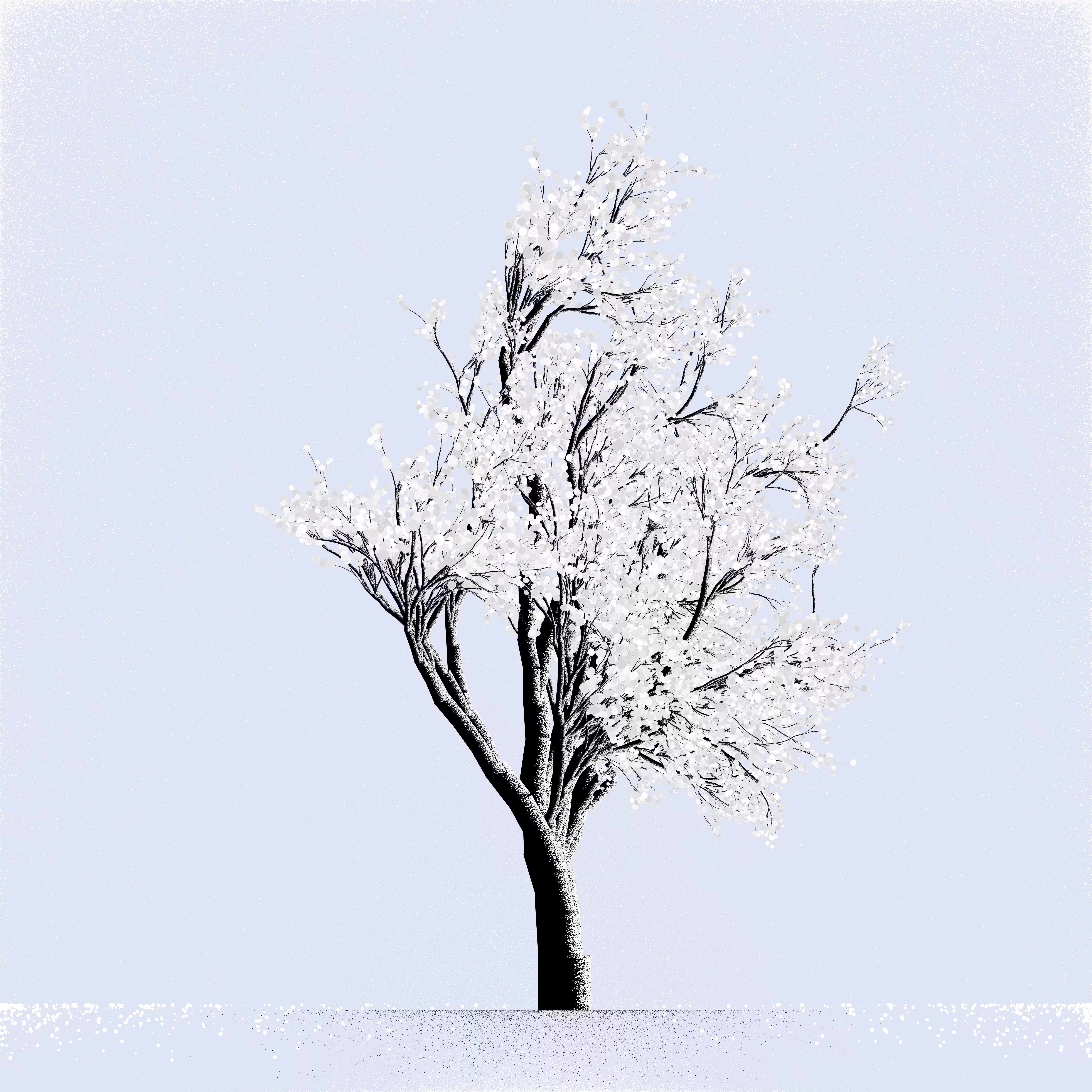 Snow Tree #10