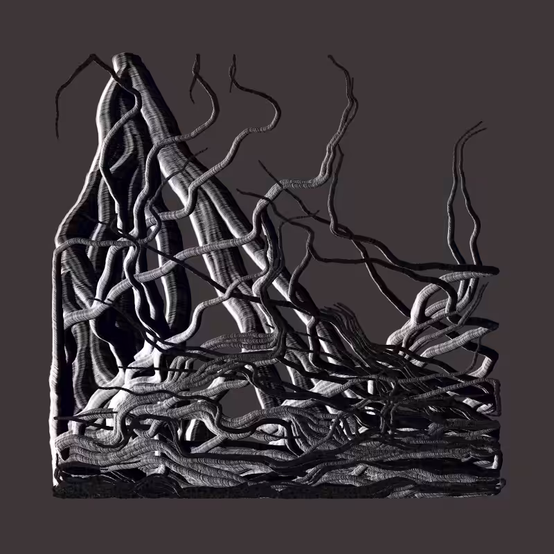 Root #37