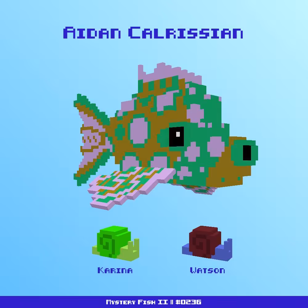 Aidan Calrissian :: Mystery Fish 0236/1000