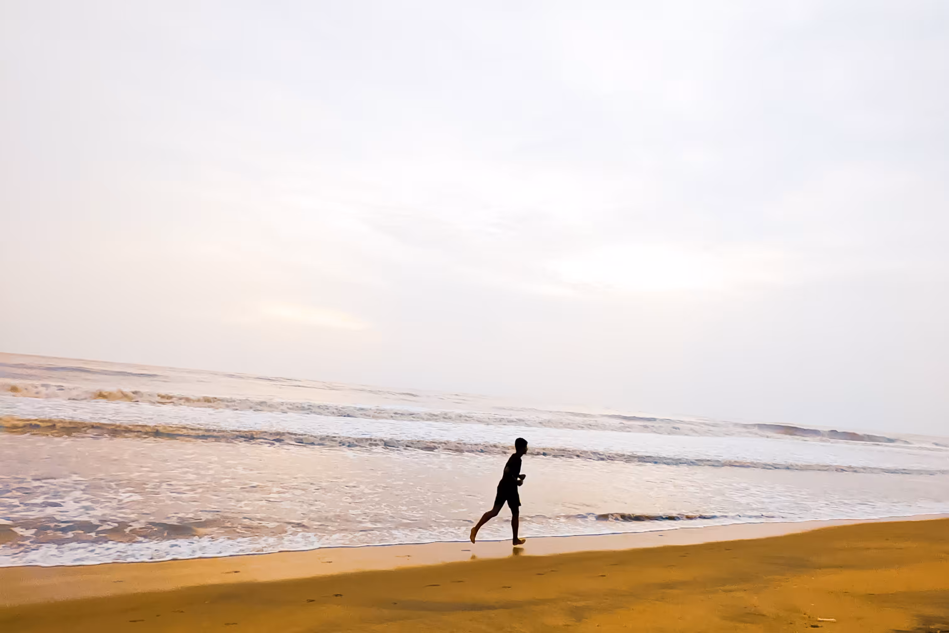 Sea's the day