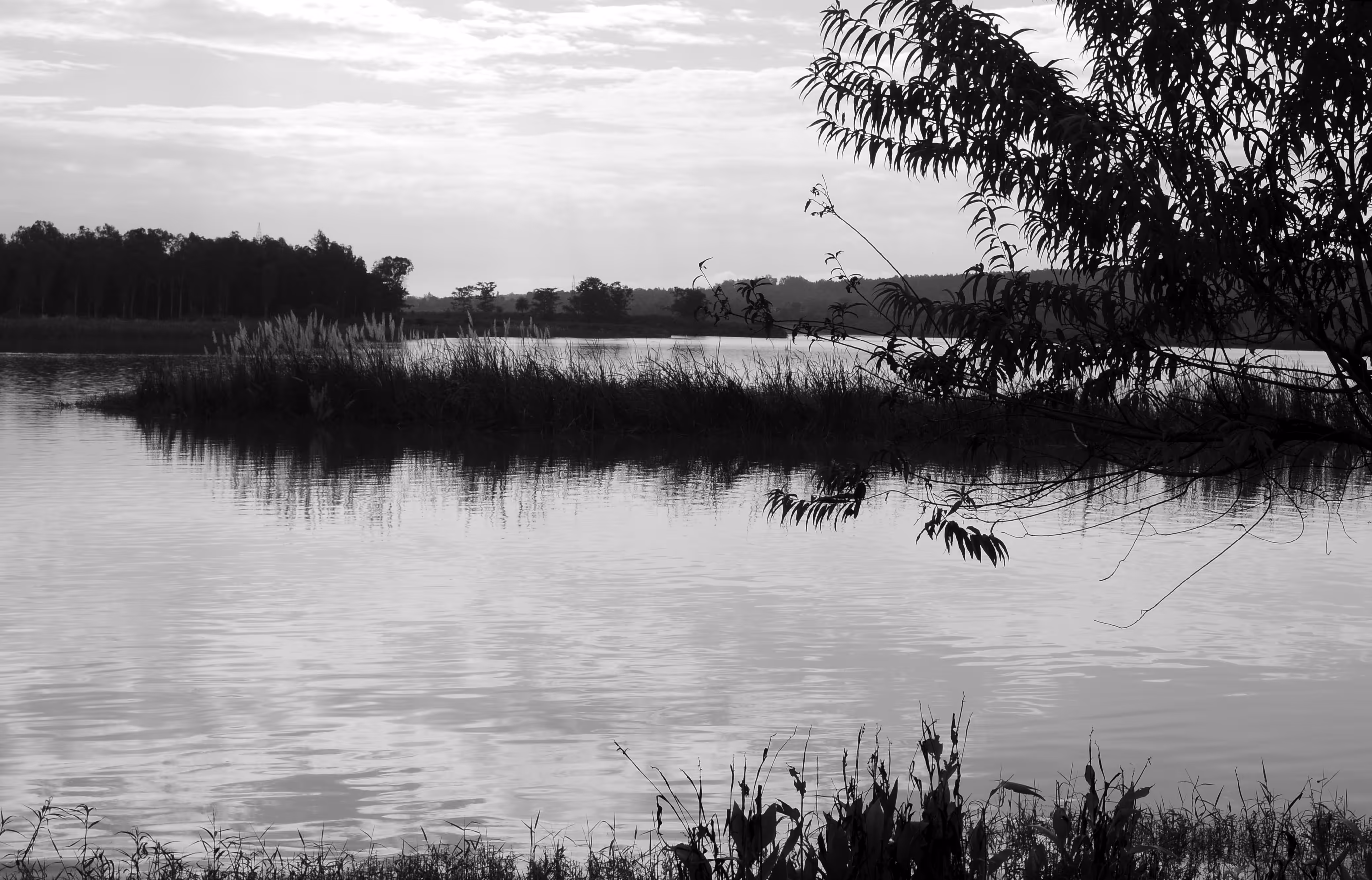 Landscape #1