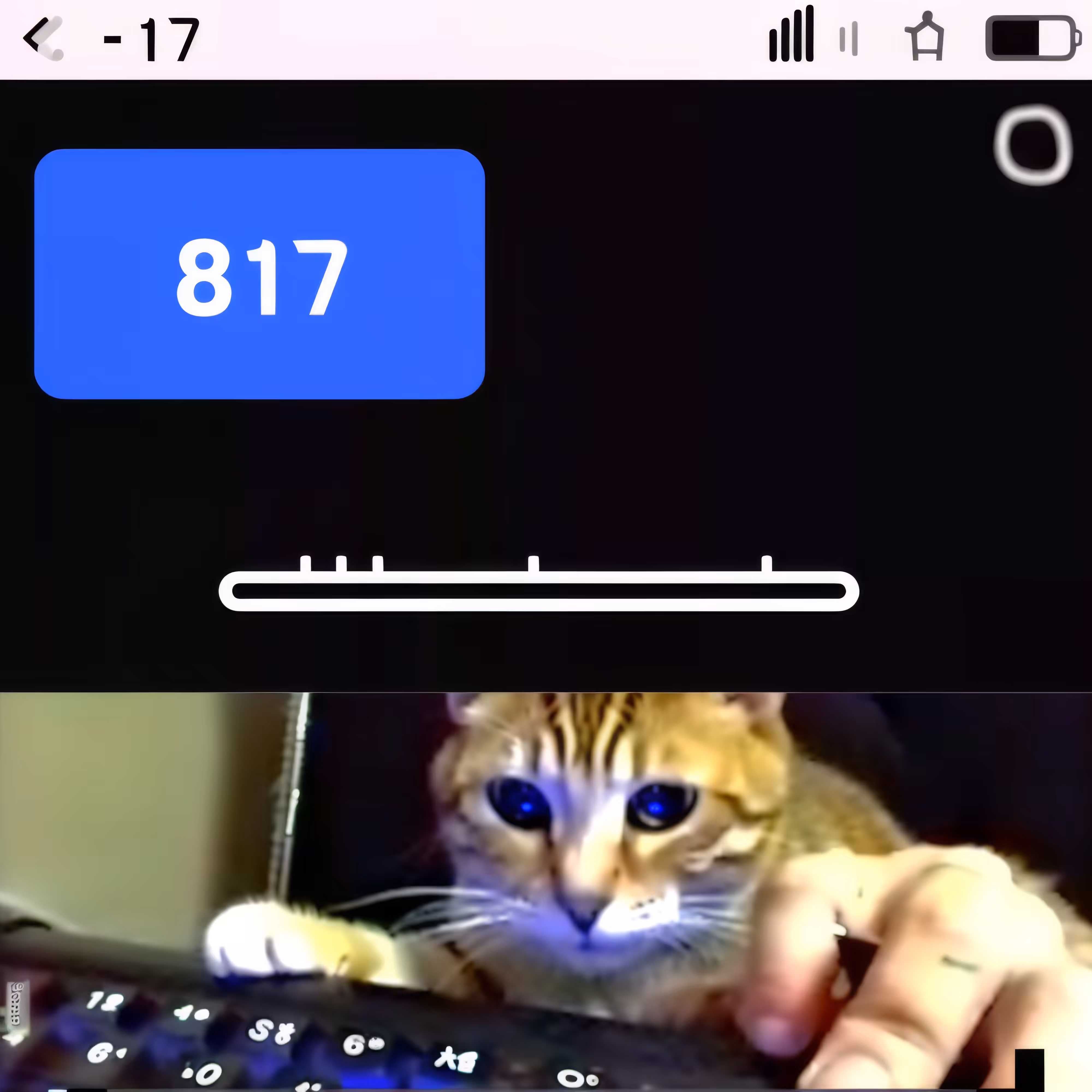 BAD JPEGs: Keyboard-Cat