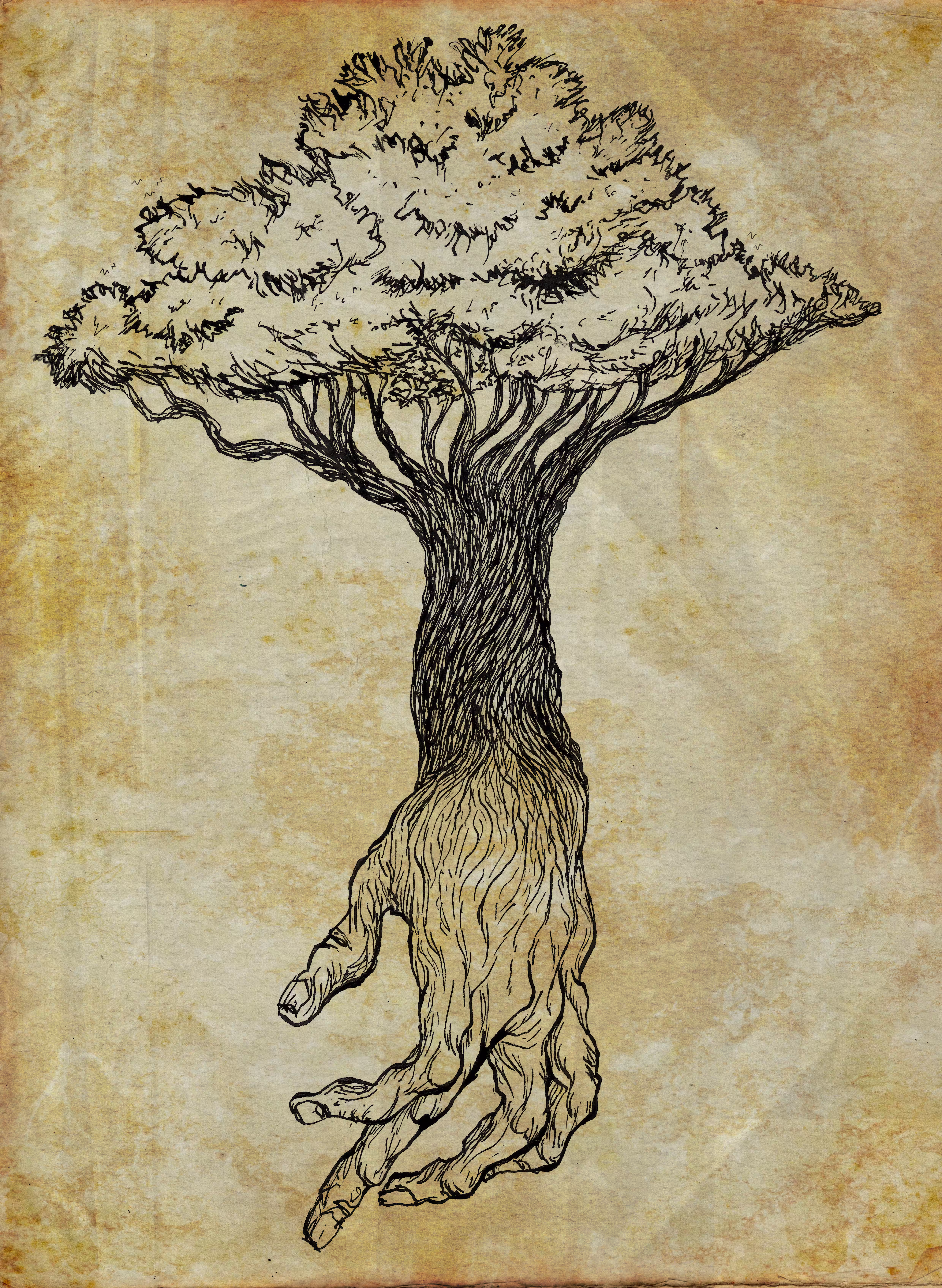 Hand of the tree