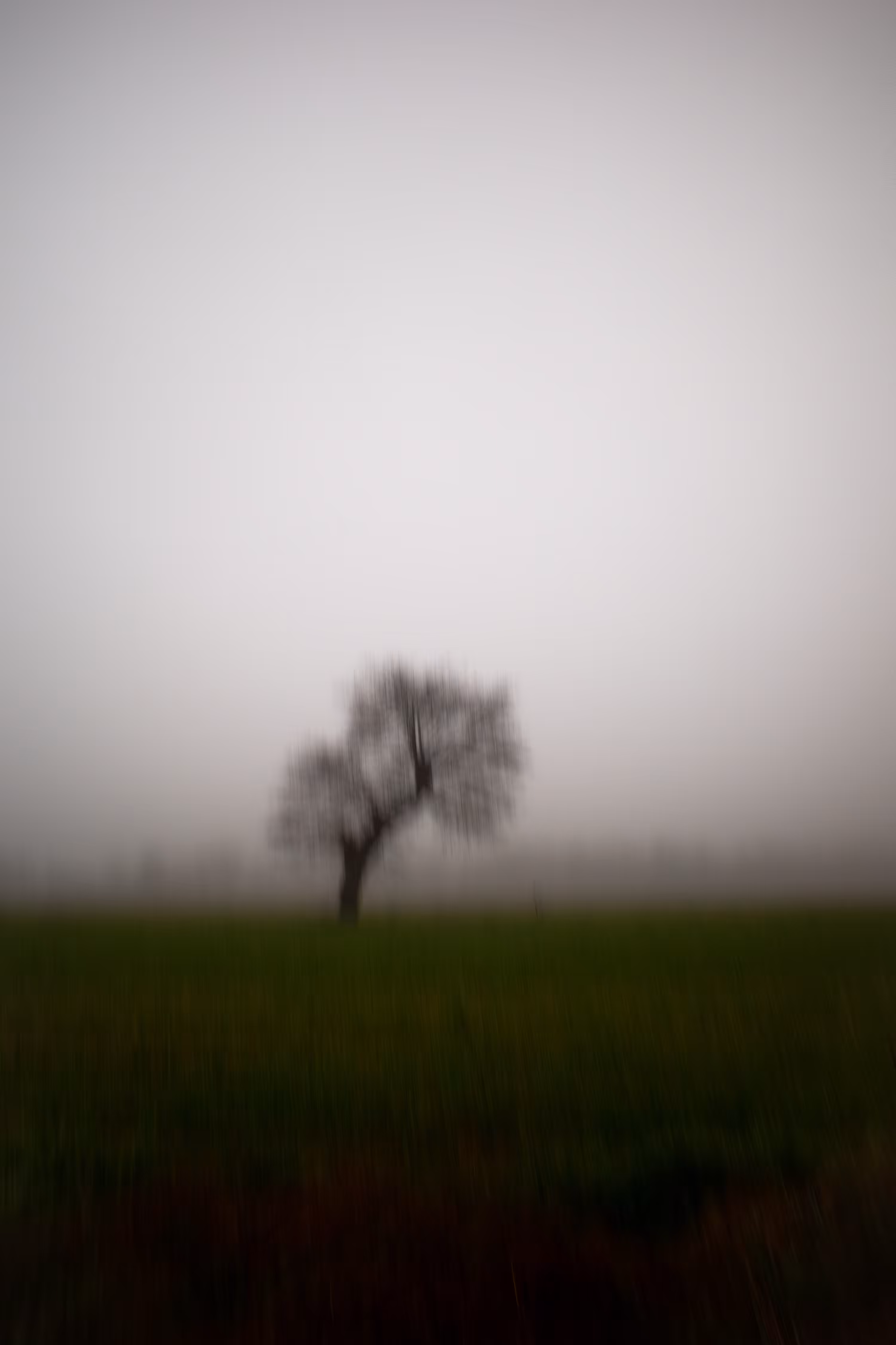 The Lone Tree III
