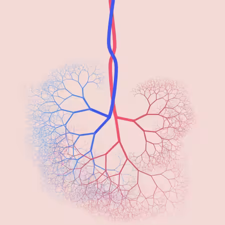 capillary trees #15