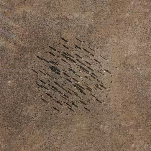 crystalline work (arctic) #233