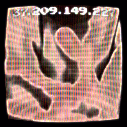 Body Octet #4