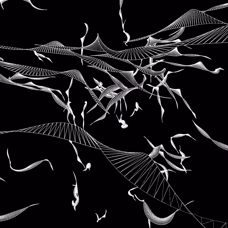 Paths of life #43