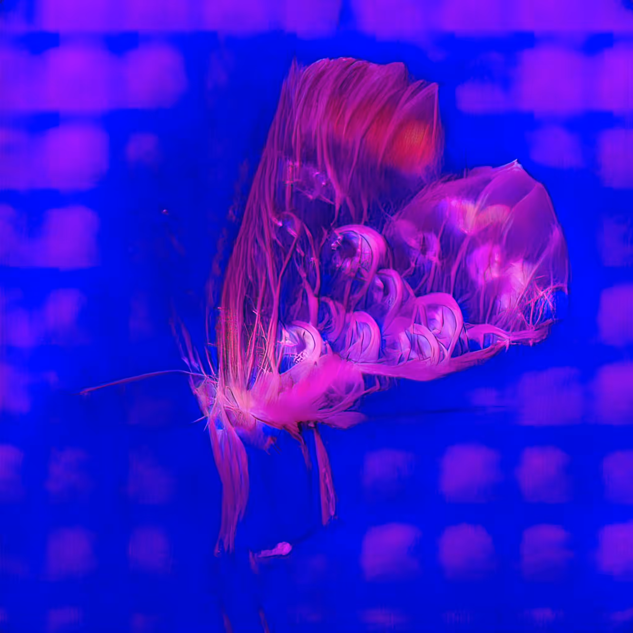 Emergent Finale 00198