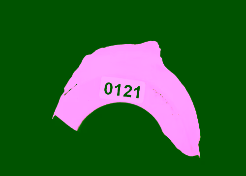 FNTN // 121