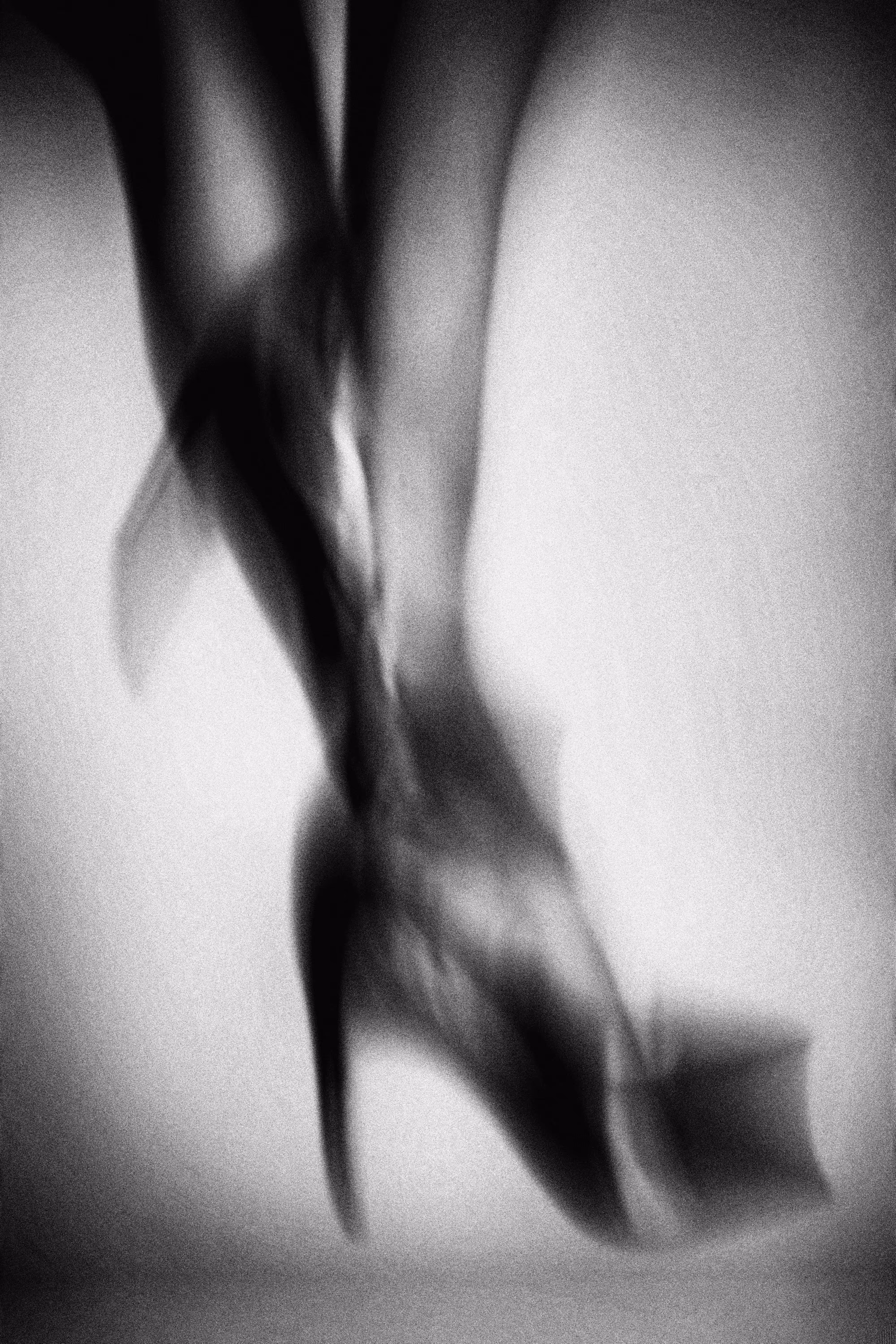 Legs [02]