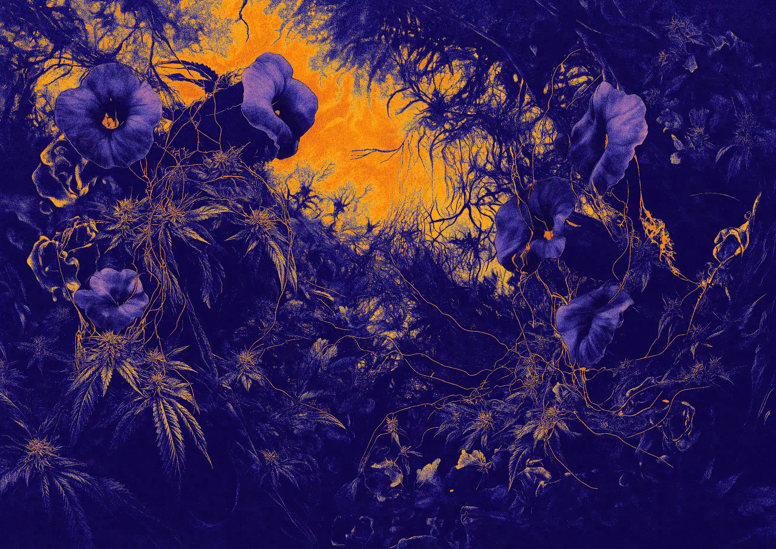 Violet Delights